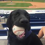 Otis Jordan - @otismyinsta - Instagram