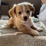 Otis-Kane_AndMore - @otiskane_andmore - Instagram