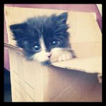 Otis Kellerman - @otiskellerman - Instagram