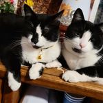 otis and kidd - @otiskidd2020 - Instagram