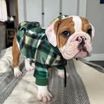 Milo and Otis Kitchen - @milo_otis_kitchen - Instagram