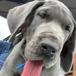 Otis Kramer - @otis.kramer - Instagram