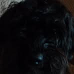 Otis Kramer-perez - Facebook