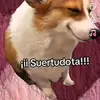 inmubiliariosrlotis_laiser - @otis_laiser - TikTok