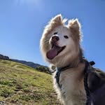 Otis Lam - @otisnchar - Instagram