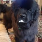 Otis Lancaster - Facebook