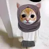 Otis Lang - @otis.lang - TikTok
