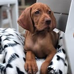 Otis Lawson - @otislawson2019 - Instagram