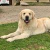 Otis_le_penible - @otis_le_penible - TikTok