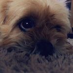 Otis Leach - @otis_leach - Instagram