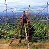 lester otis - @lester.otis - TikTok