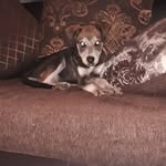 linzy - @otis_linzy - Instagram