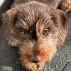 longboy.otis - @longboy.otis - TikTok