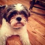 Otis Odesa Long - @otisthebeaut - Instagram