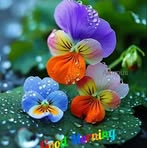 Otis Mack - Facebook