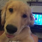 Otis Mack - @the_otis_mack - Instagram