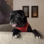 Otis MaGee - Facebook