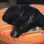Otis Magee - @otis_magee - Instagram