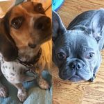 Otis & Marcus - @otis.marcus - Instagram