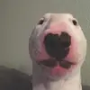 Otis Marshall - @otismarshall1 - TikTok