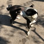 Otis Martinez - @otis_the._.man - Instagram