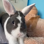 otis - @otis.martinez_ - Instagram