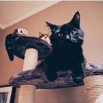 OTIS & MARVIN - @otisandmarvin - Instagram