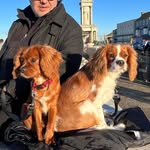 @otis_marvin_puppybros - Instagram