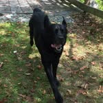 Otis Mayer - @otismayer - Instagram