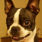 Otis McCarty - Facebook
