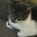 Otis George McCoy - @otis_mccoy_ - Instagram
