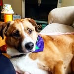 Otis - @otis_mclaughlin_ - Instagram