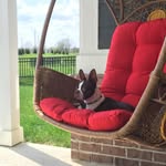 Otis Monroe - @otis_monroe_the_boston - Instagram