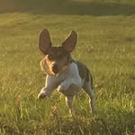 Otis Monroe - @odelltheshellwithshoeson - Instagram