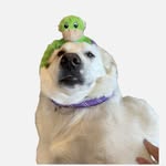 Otis Monroe - @thefrecklederp - Instagram