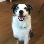 Murphy Otis - @murphyotisschludt - Instagram