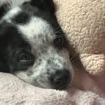 Otis Murphy - @mr.otismurphy - Instagram