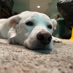 Otis Murphy - @otis.myman - Instagram
