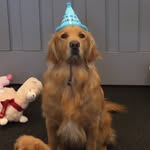 Otis Murphy - @therealotismurphy - Instagram