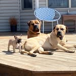 Otis Murphy Beverly McDowell - @otis_murphy_and_beverlysue - Instagram