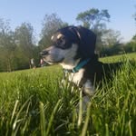 Otis Murphy Funkmeyer - @otis.funkmeyer - Instagram