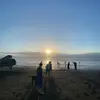 otis - @otis.murphys - TikTok