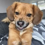 Otis Dave Nolan - @otisdavenolan - Instagram