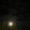otisno rris - @otisno.rris - TikTok