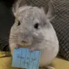 oliver.otis1 - @oliver.otis1 - TikTok