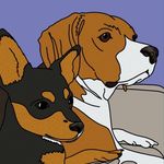 Otis and Oliver - @otisandoliverofficial - Instagram