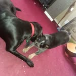 @otis_oliver12 - Instagram