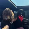 Otis&Oliver - @otissandoliverr - TikTok