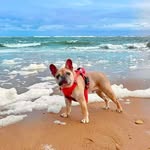 @otisoliverr - Instagram
