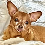 Dana Otis-Patterson - @scoobykisses - Instagram